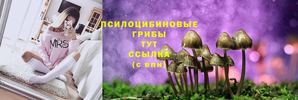 экстази Арсеньев